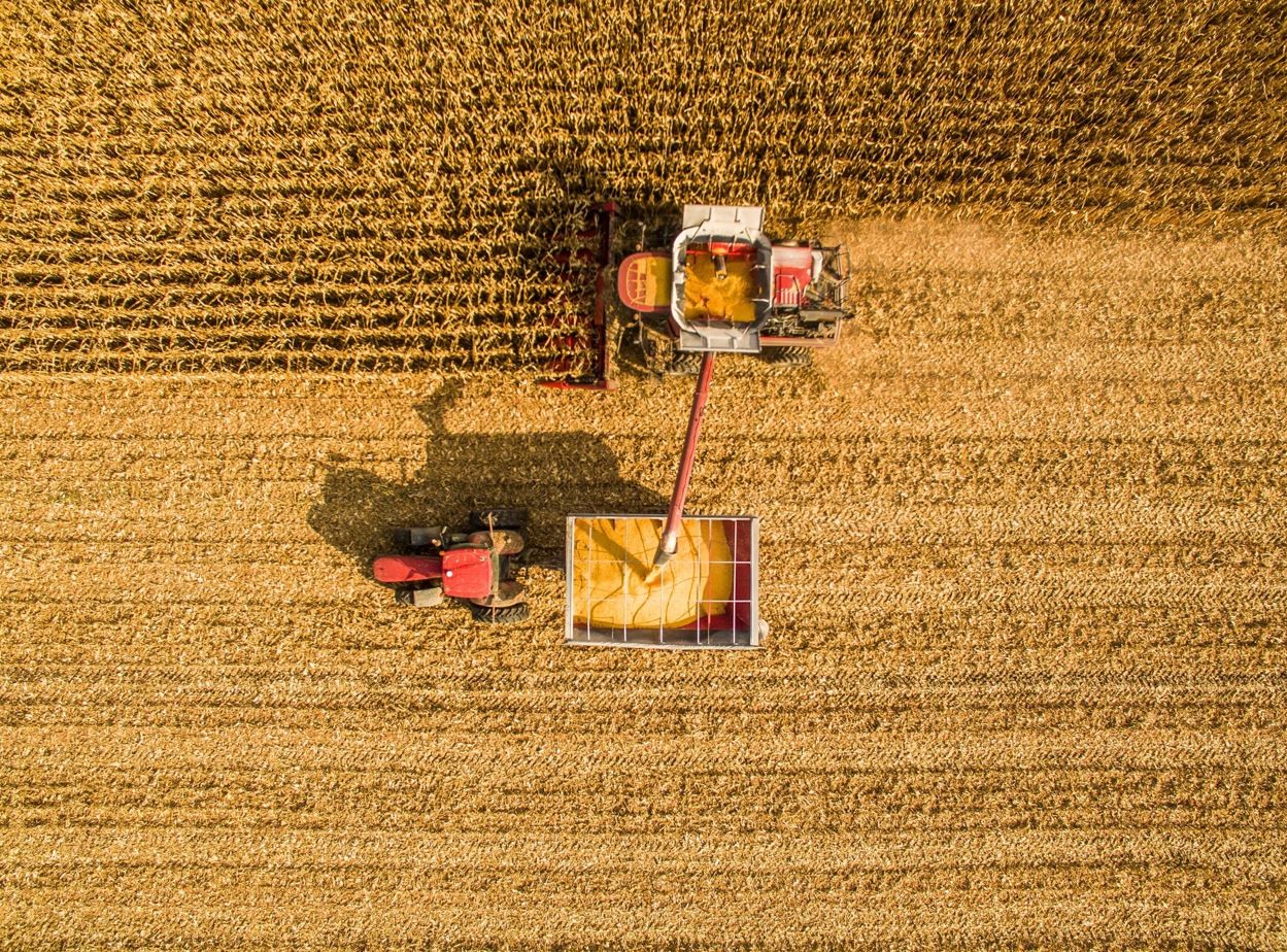 Corn Price Assessments